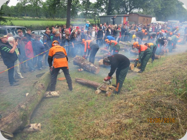 dorffest_2016__239_.jpg
