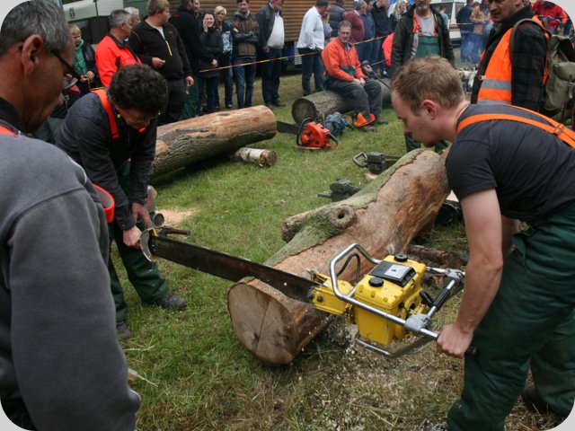 dorffest_2016__250_.jpg