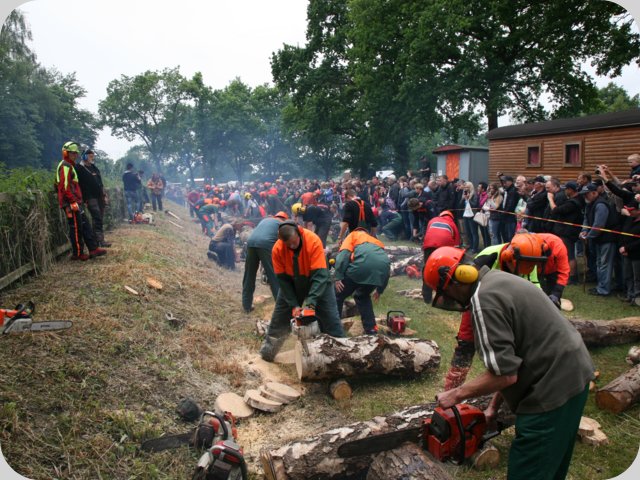 dorffest_2016__259_.jpg