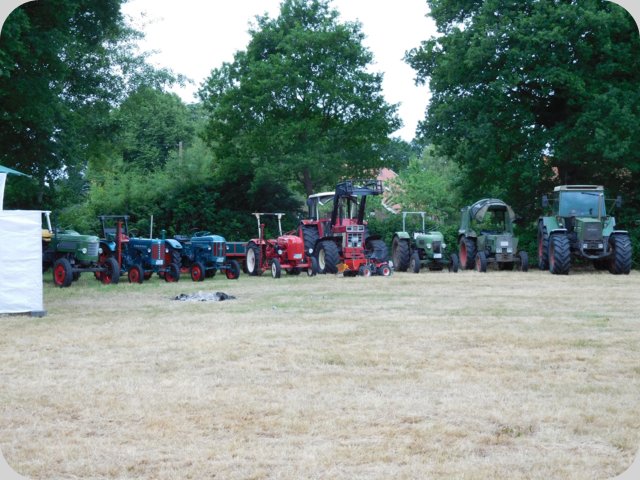 dorffest_2016__44_.jpg