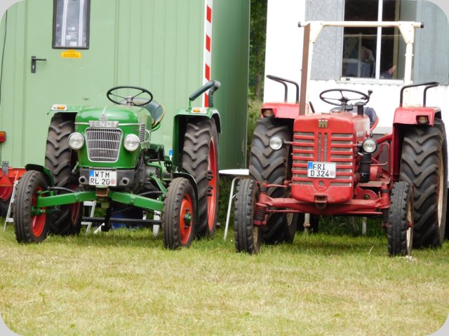 dorffest_2016__52_.jpg