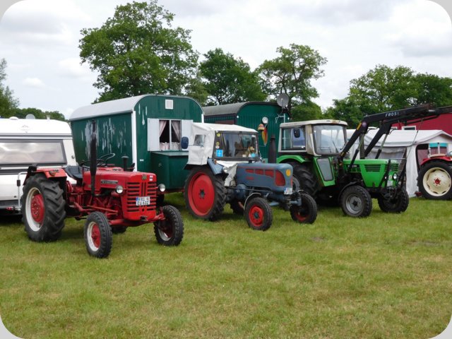 dorffest_2016__56_.jpg