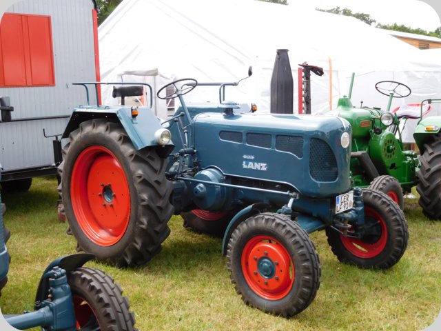 dorffest_2016__61_.jpg