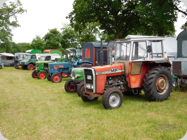 dorffest_2016__62_.jpg