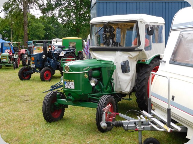 dorffest_2016__65_.jpg