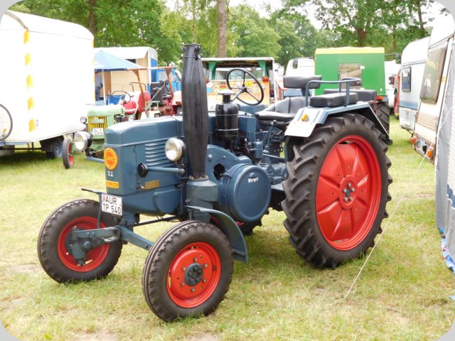 dorffest_2016__67_.jpg