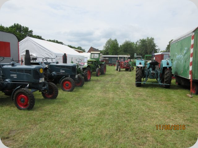 dorffest_2016__96_.jpg