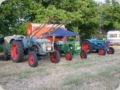 dorffest_2016__31_.jpg
