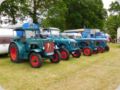 dorffest_2016__66_.jpg