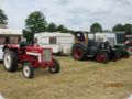 dorffest_2016__123_.jpg