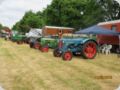 dorffest_2016__125_.jpg