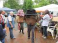 dorffest_2016__228_.jpg