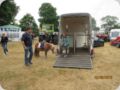 dorffest_2016__230_.jpg