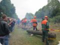 dorffest_2016__231_.jpg
