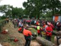 dorffest_2016__252_.jpg