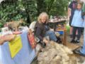 dorffest_2016__264_.jpg