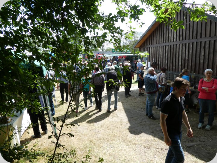doerpfest__176_.jpg