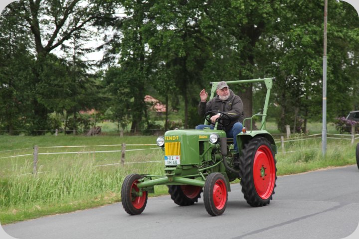 dorffest_2019__10_.jpg