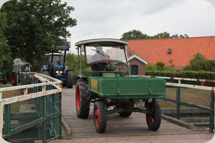 dorffest_2019__122_.jpg