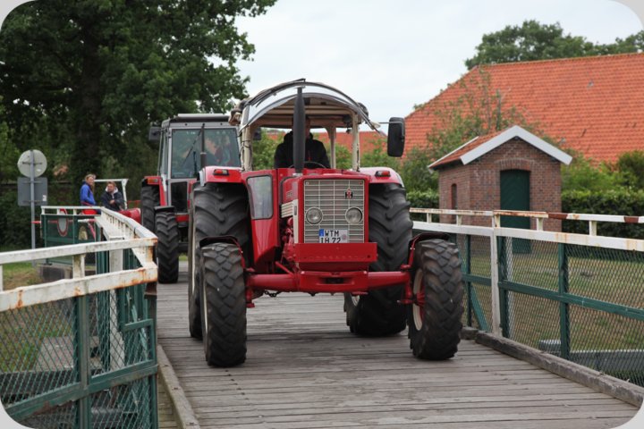 dorffest_2019__137_.jpg