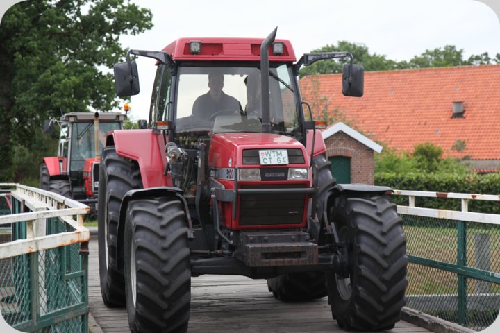 dorffest_2019__144_.jpg