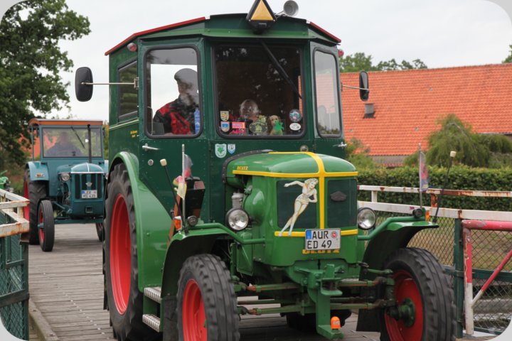 dorffest_2019__149_.jpg