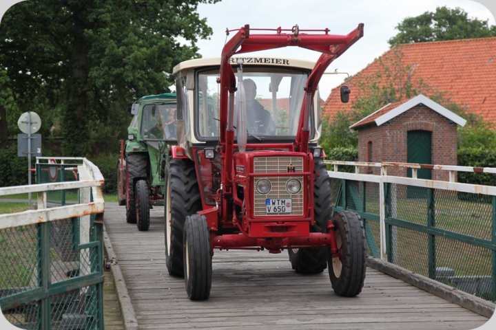 dorffest_2019__176_.jpg