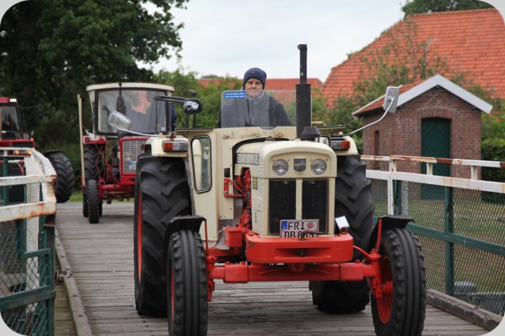 dorffest_2019__180_.jpg