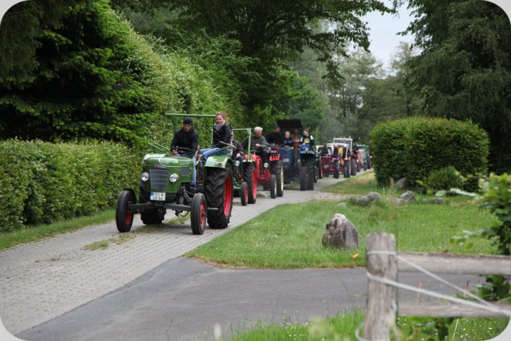 dorffest_2019__197_.jpg