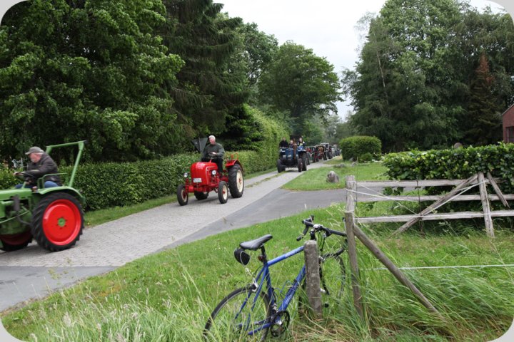 dorffest_2019__198_.jpg