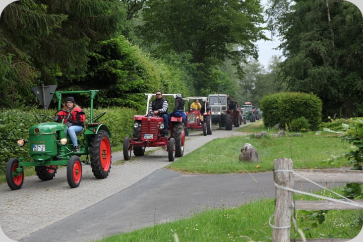 dorffest_2019__201_.jpg