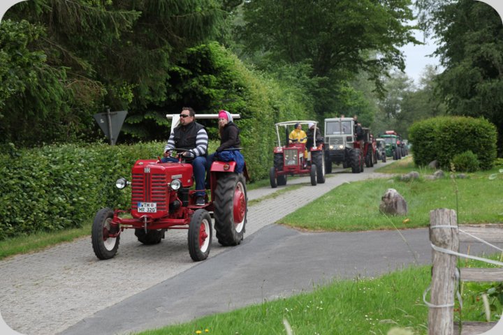 dorffest_2019__202_.jpg