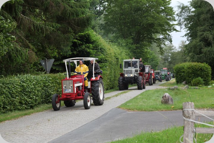 dorffest_2019__203_.jpg