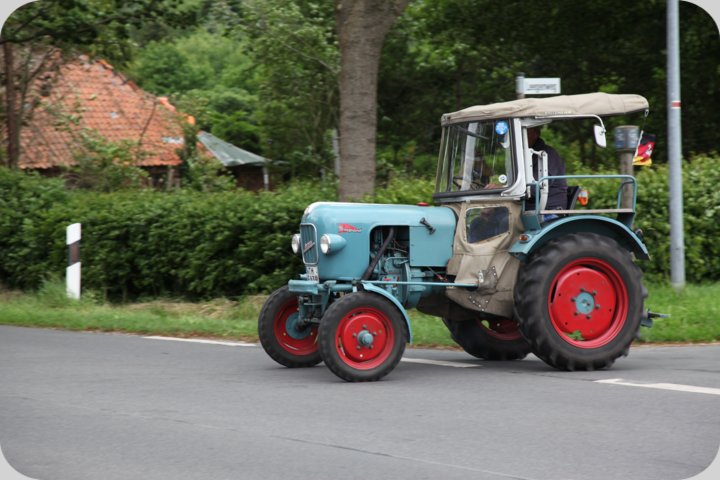 dorffest_2019__204_.jpg