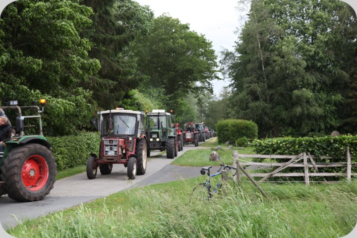 dorffest_2019__208_.jpg