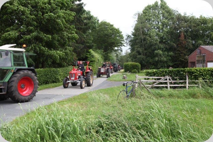 dorffest_2019__209_.jpg