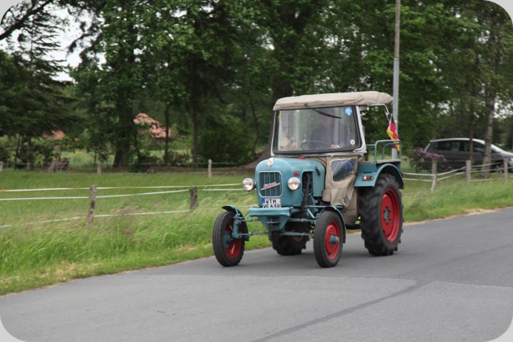 dorffest_2019__20_.jpg