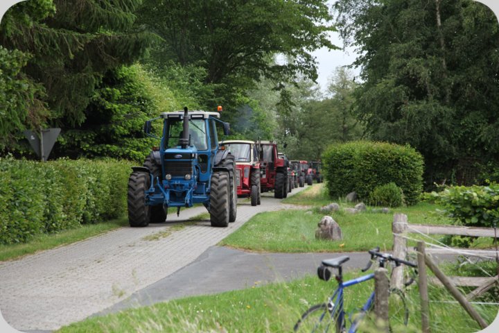 dorffest_2019__213_.jpg