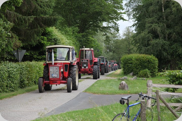 dorffest_2019__214_.jpg