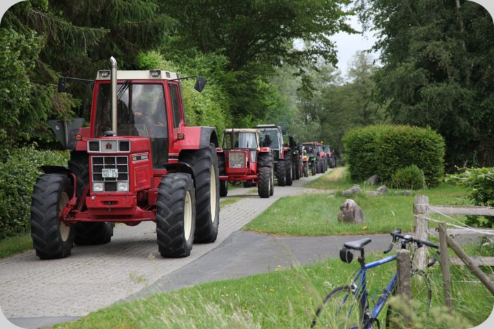 dorffest_2019__215_.jpg