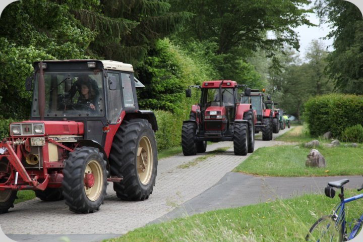 dorffest_2019__219_.jpg