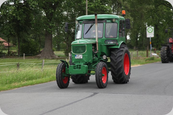 dorffest_2019__21_.jpg