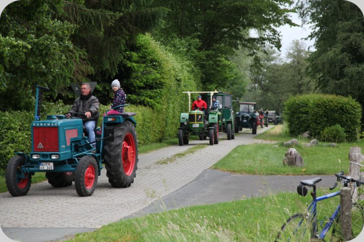dorffest_2019__221_.jpg