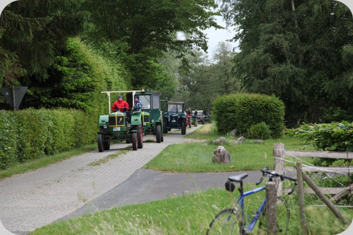 dorffest_2019__222_.jpg