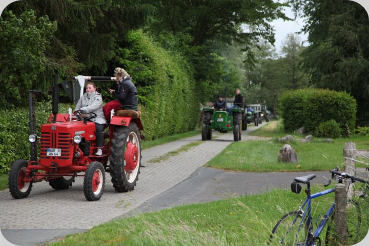 dorffest_2019__223_.jpg