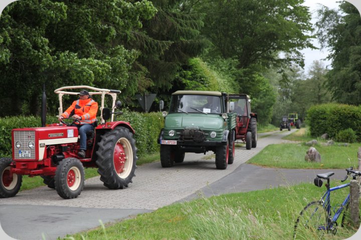 dorffest_2019__227_.jpg