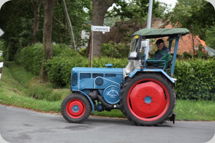 dorffest_2019__232_.jpg