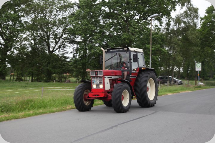 dorffest_2019__23_.jpg
