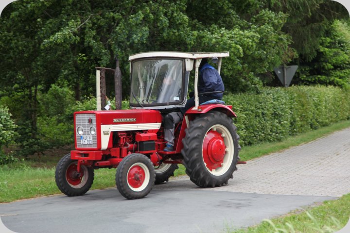 dorffest_2019__246_.jpg