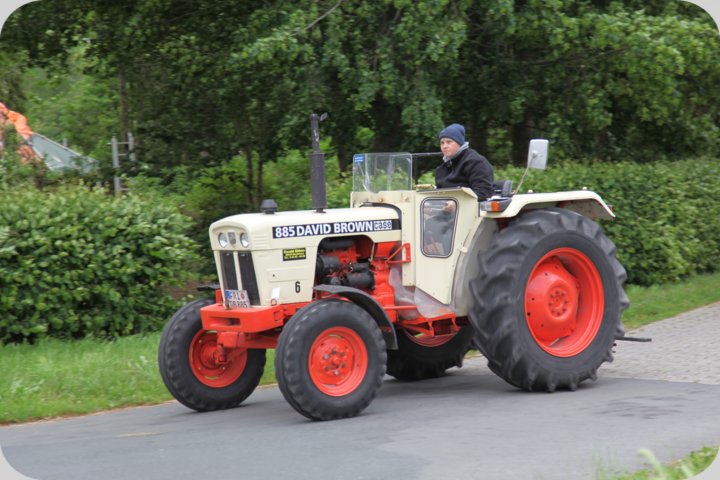 dorffest_2019__248_.jpg